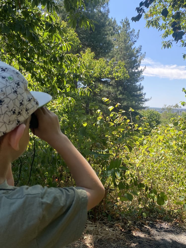 Enfant de dos, jumelles aux yeux, tourné vers la trouée du sommet et la ligne d'horizon.