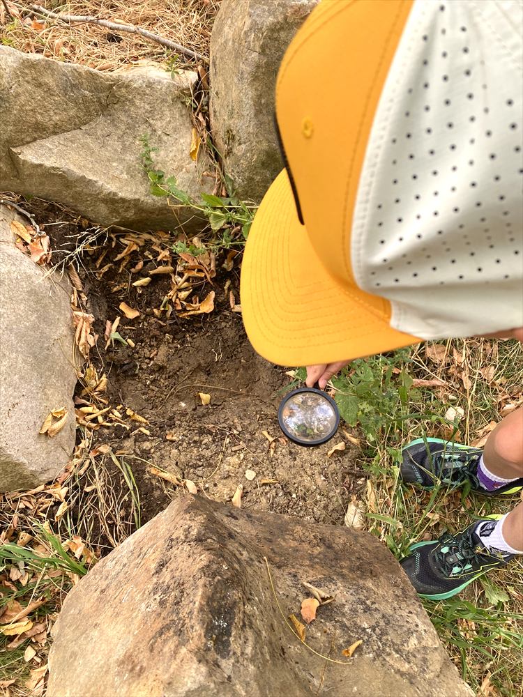 Vu de dessus : un enfant en casquette approche une loupe du sol dégagé sous une grosse pierre.